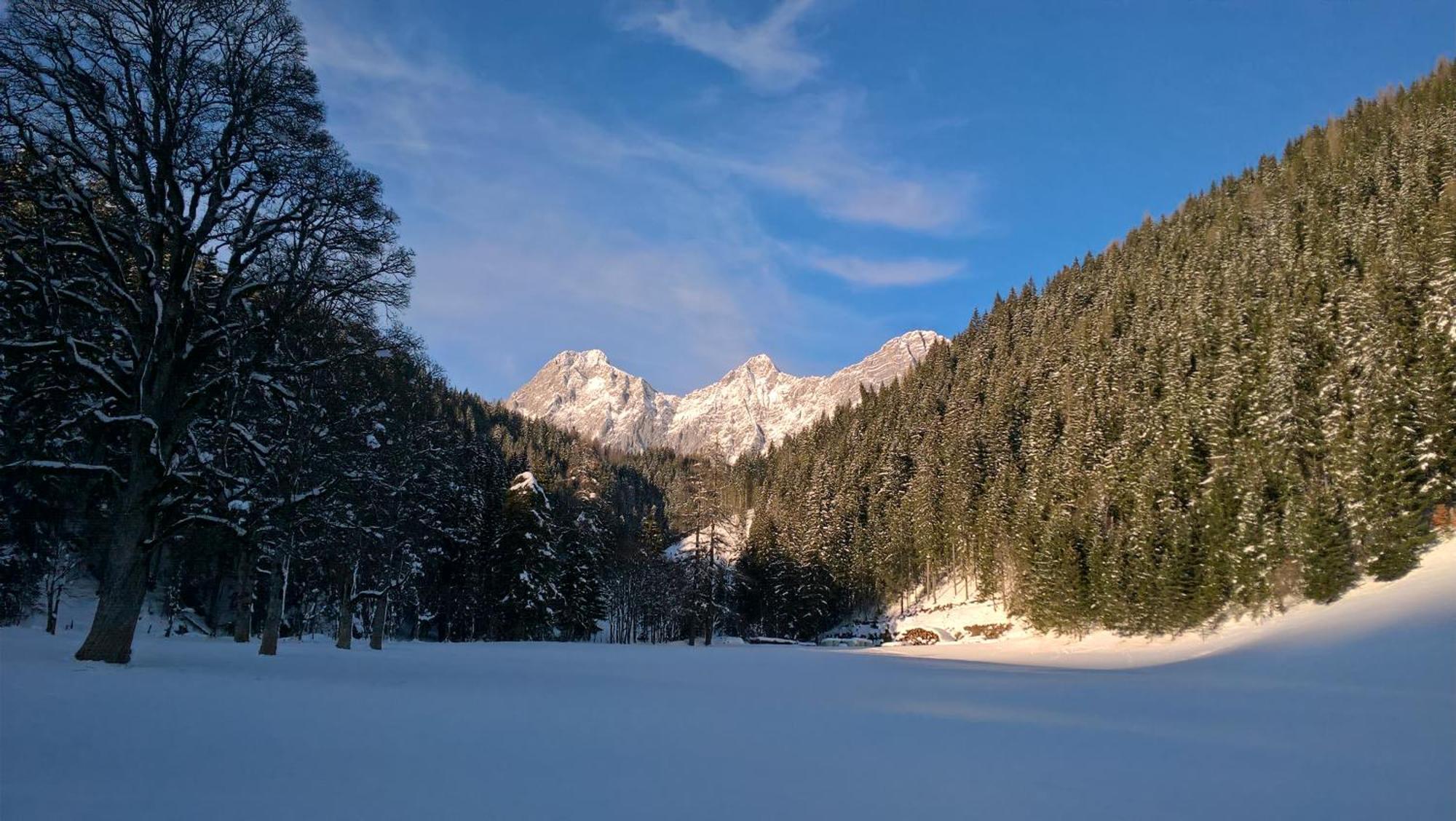 Alpenrose Boutique Chalet Gretl Ramsau am Dachstein Buitenkant foto