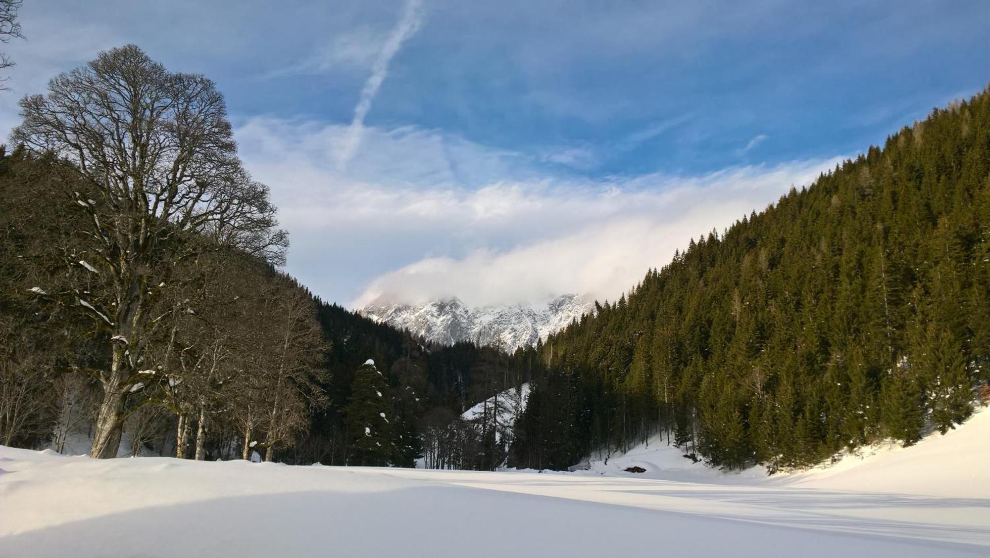 Alpenrose Boutique Chalet Gretl Ramsau am Dachstein Buitenkant foto