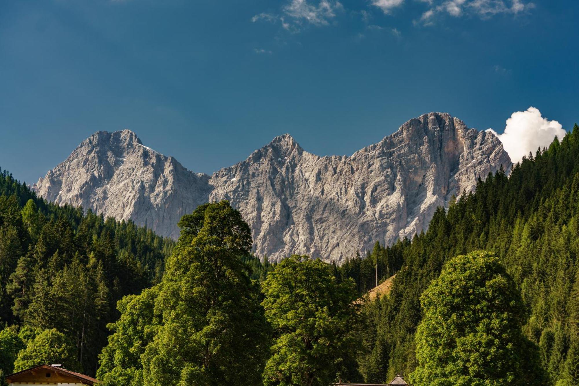 Alpenrose Boutique Chalet Gretl Ramsau am Dachstein Buitenkant foto