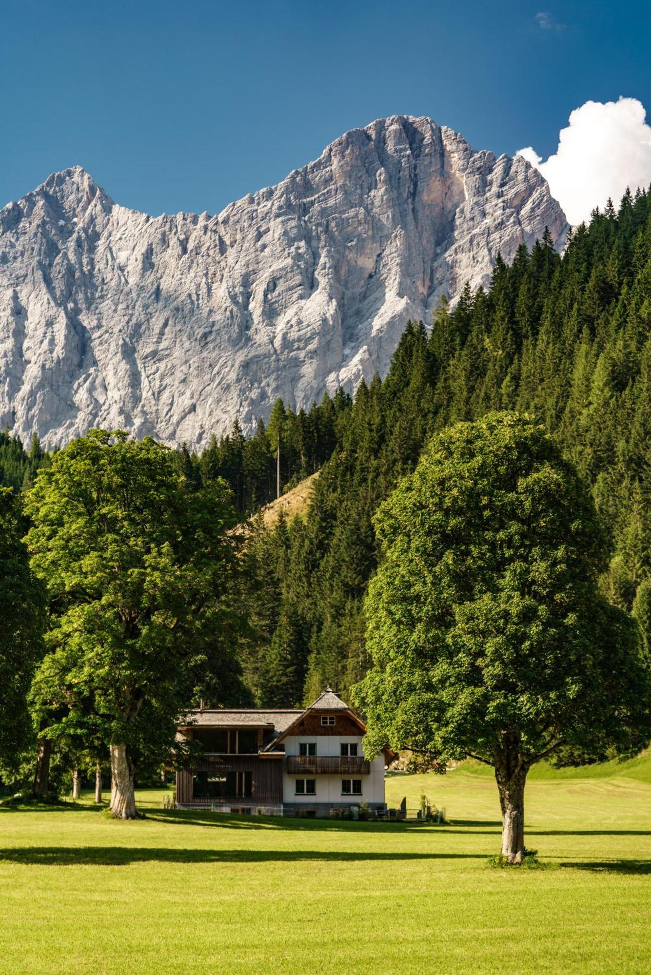 Alpenrose Boutique Chalet Gretl Ramsau am Dachstein Buitenkant foto