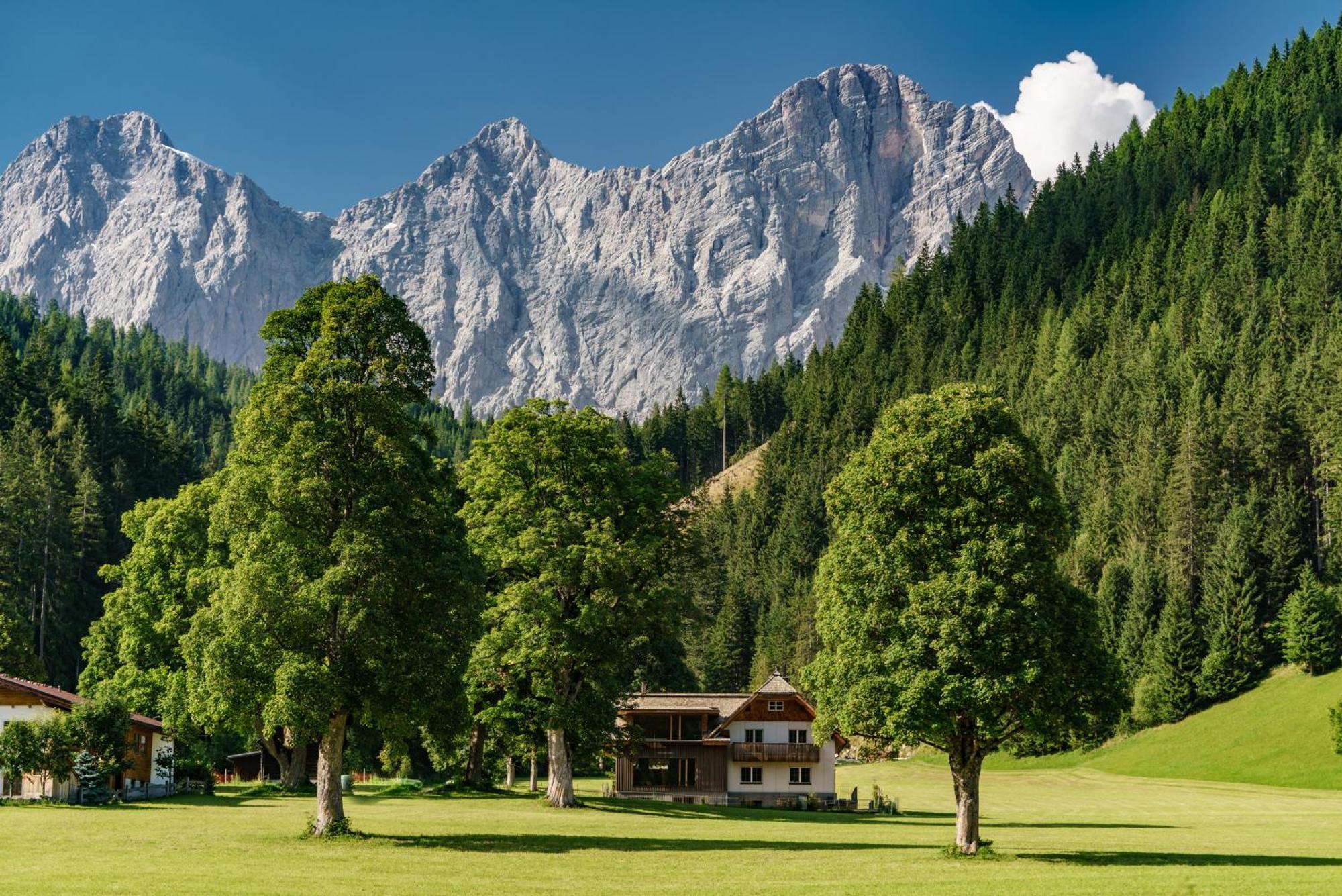 Alpenrose Boutique Chalet Gretl Ramsau am Dachstein Buitenkant foto